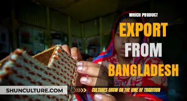 Top Bangladeshi Exports: Key Products Driving the Nation's Economy