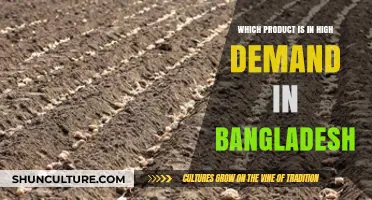 Top High-Demand Products Shaping Bangladesh's Booming Market Today