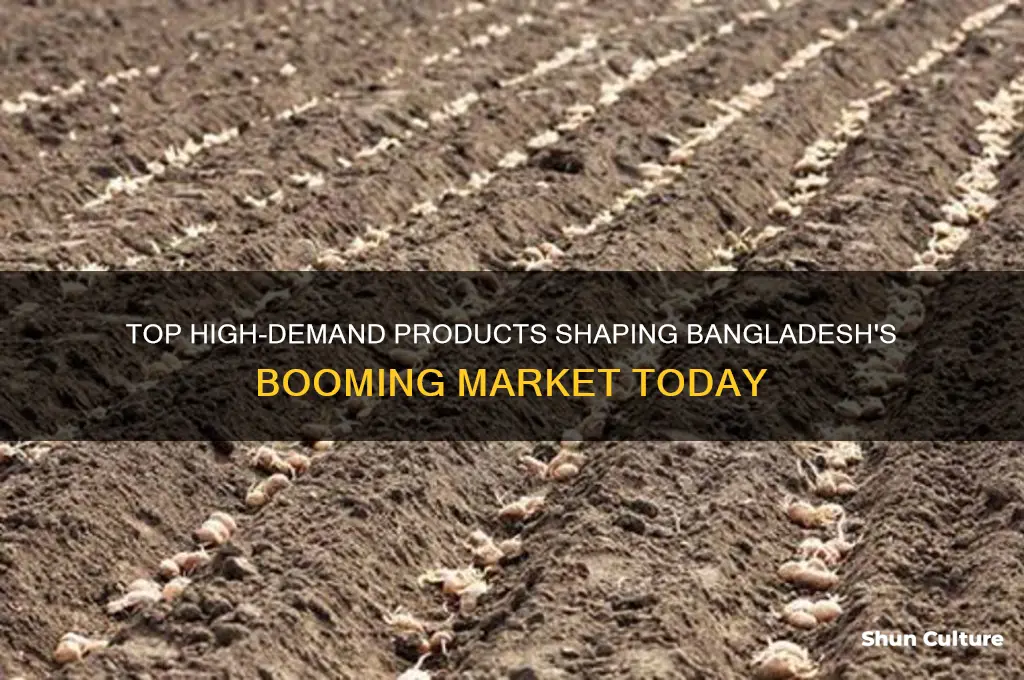 which product is in high demand in bangladesh