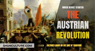 The Spark of Austrian Revolution: Which Uprising Started It?