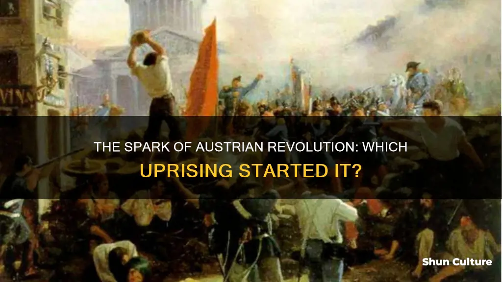 which revolt started the austrian revolution