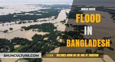 Bangladesh's Devastating River Floods: Causes, Impacts, and Prevention Strategies