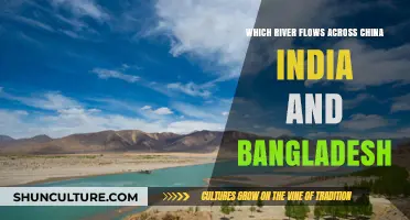 The Brahmaputra's Journey: Connecting China, India, and Bangladesh