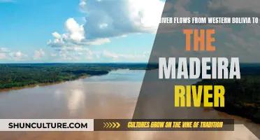 Exploring Bolivia's Rivers: Flowing to the Madeira