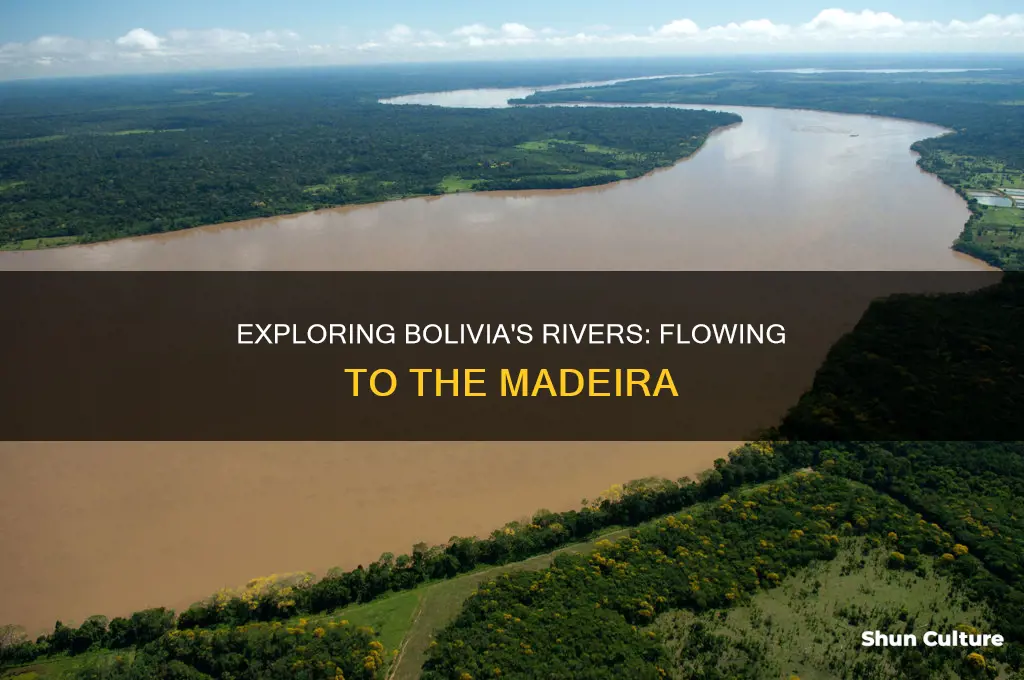 which river flows from western bolivia to the madeira river