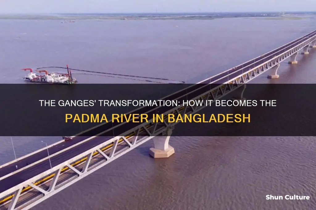 which river is known as padma in bangladesh