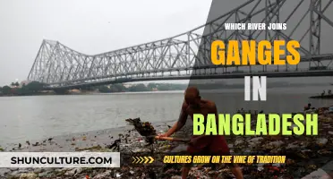 Exploring Bangladesh: Which River Merges with the Ganges?