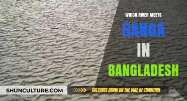 The Confluence of Rivers: Where the Ganges Meets Bangladesh's Waters