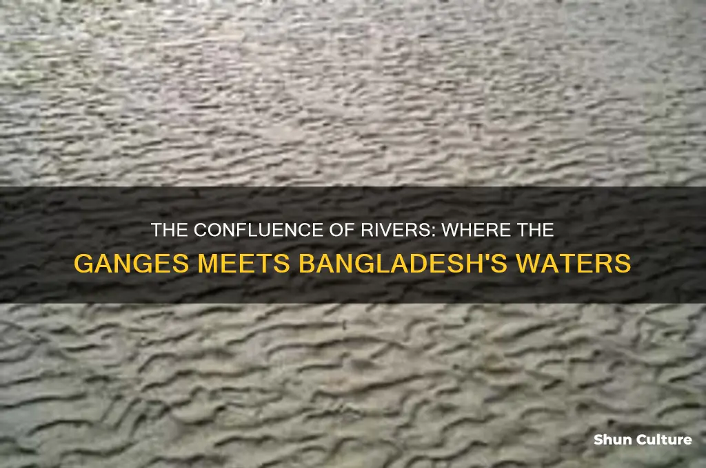 which river meets ganga in bangladesh