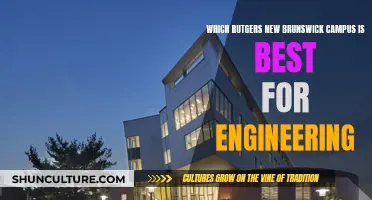 Rutgers NB Engineering: Which Campus Wins?