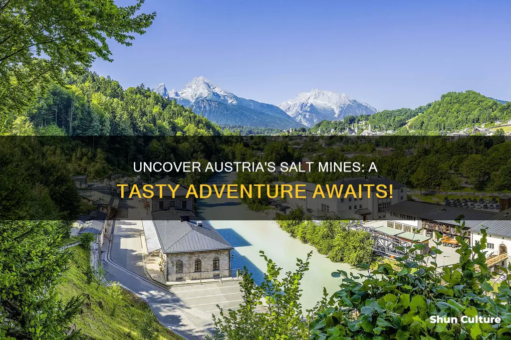 which salt mine to visit in austria