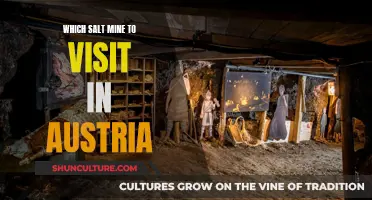 Exploring Austria's Salt Mines: A Guide to the Best Experiences