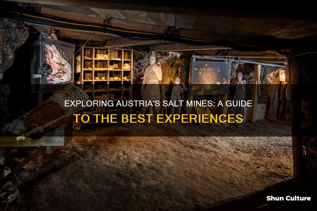 which salt mine to visit in austria