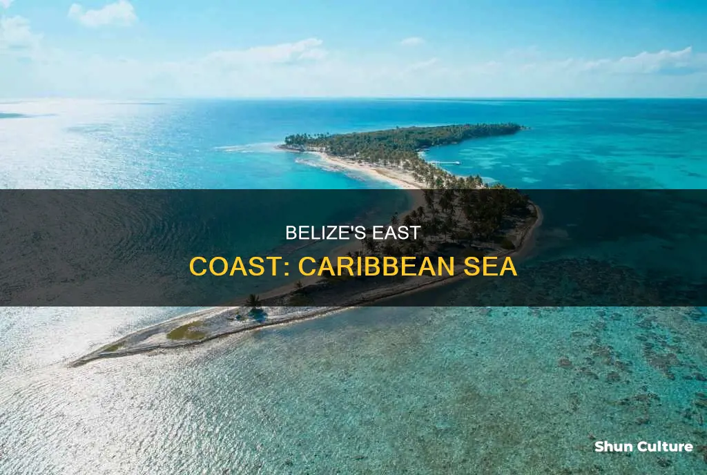 which sea borders the east coast of belize