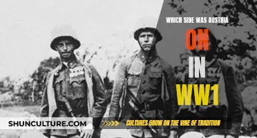 Austria's World War I Alliance: A Complex Choice