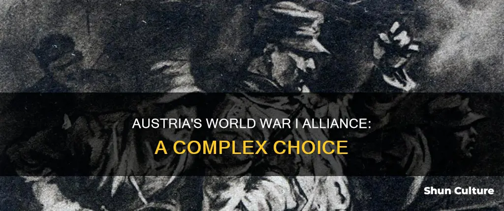 which side was austria on in ww1