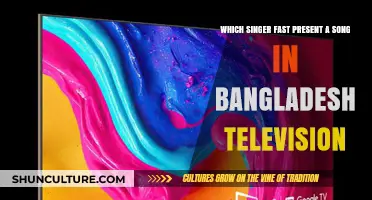 Fastest Song Performance on Bangladesh TV: Which Singer Holds the Record?