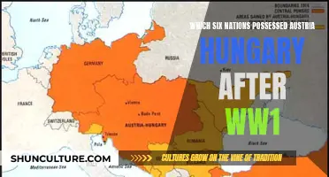 The Carve-Up: Six Nations Divide Austria-Hungary's Territory Post-WW1