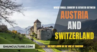Small Country, Big Neighbors: Austria and Switzerland