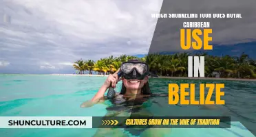 Royal Caribbean's Belize Snorkeling Adventure