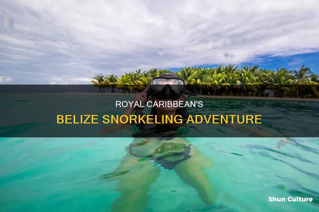 which snorkeling tour does royal caribbean use in belize