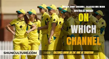 Where to Watch India vs Australia One-Day Series
