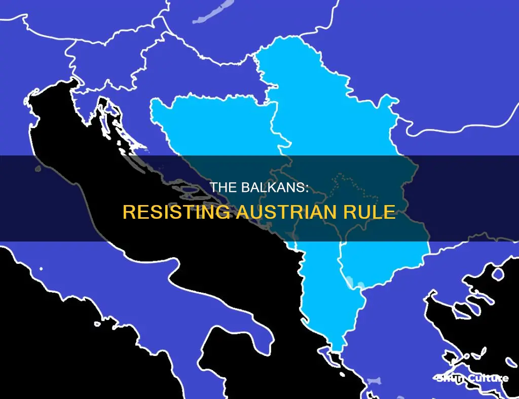 which specific group hated austrian presence in the balkans