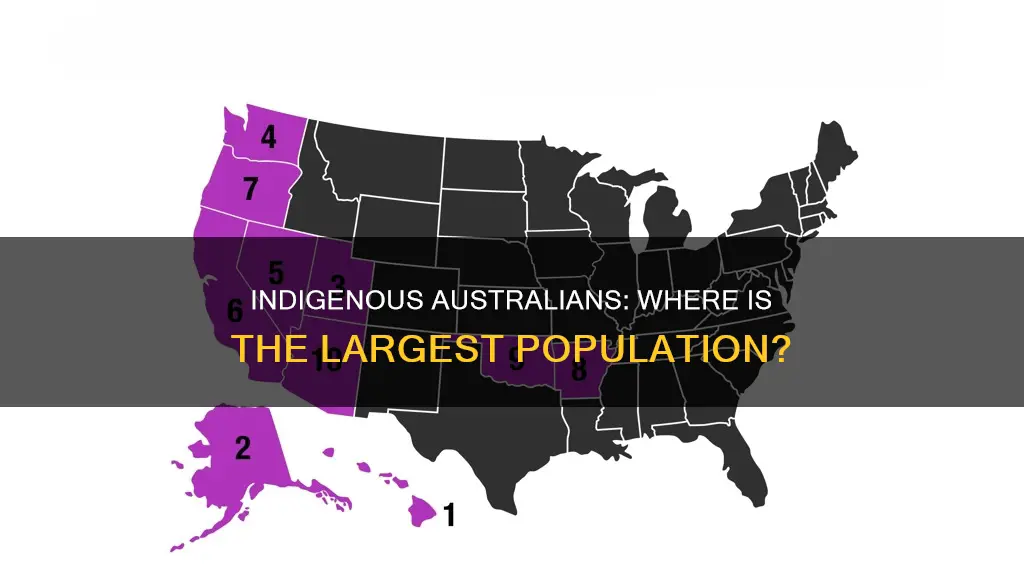 which state has the largest indigenous population in australia