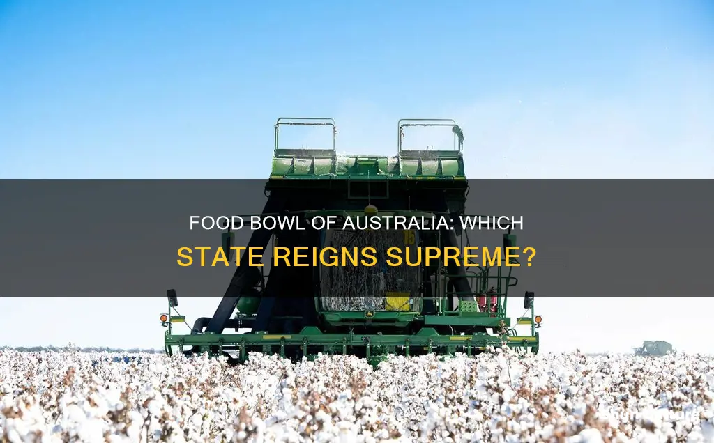 which state in australia produces the most food