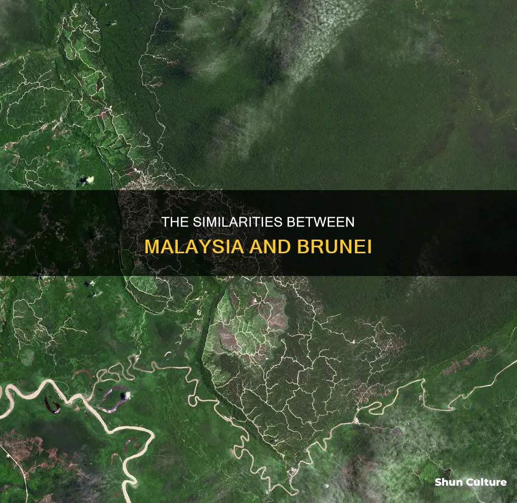 which statement about malaysia and brunei is not true