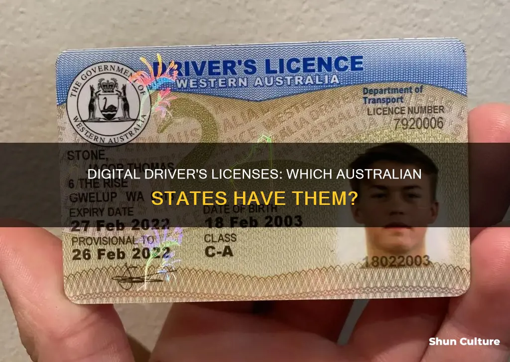 which states have digital driver