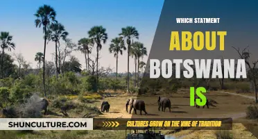 Botswana's Surprising Truths: Debunking Common Misconceptions About the Country