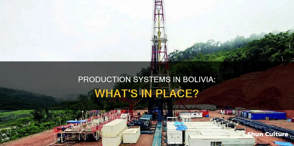 which systems are in place to facilitate production in bolivia