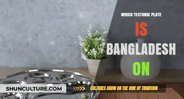 Bangladesh's Tectonic Plate Location: Exploring the Indian Plate's Influence