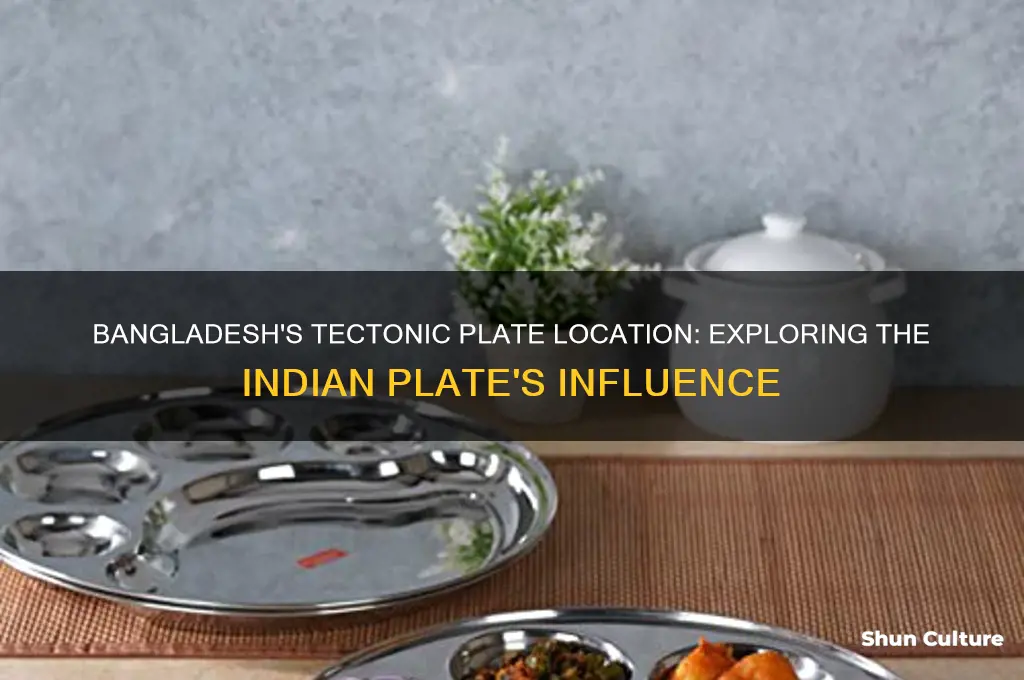 which tectonic plate is bangladesh on