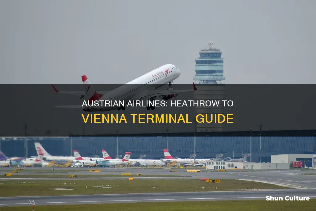 which terminal austrian airlines heathrow to vienna