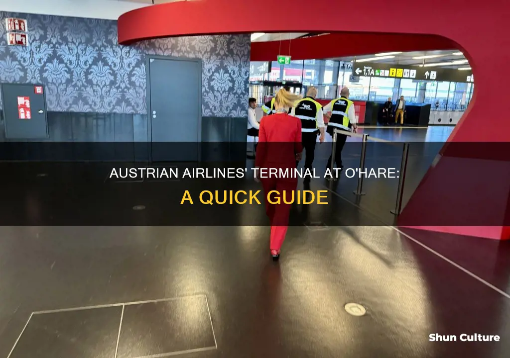 which terminal does austrian airlines use ohare