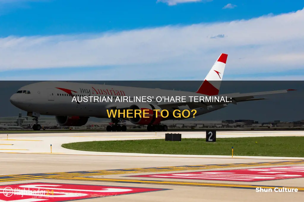 which terminal does austrian airlines use ohare