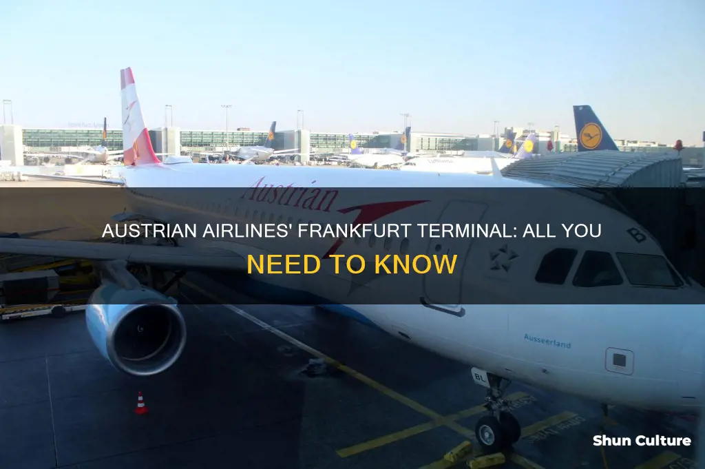 which terminal does austrian fly in to frankfurt