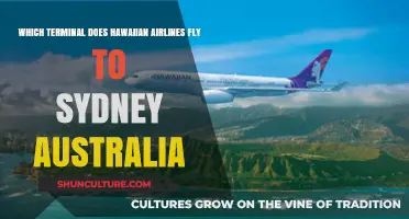 Hawaiian Airlines Sydney Terminal Guide: Where to Fly in Australia