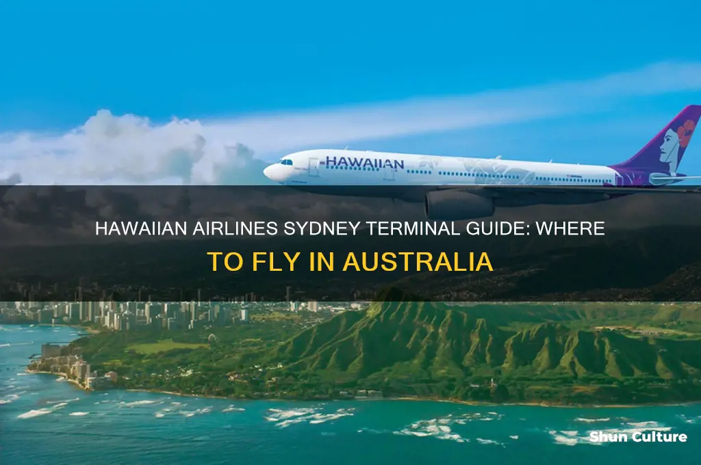 which terminal does hawaiian airlines fly to sydney australia