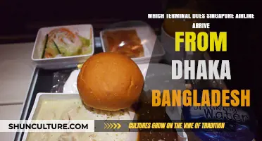 Singapore Airlines Dhaka Arrival: Which Terminal to Expect in Bangladesh