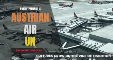 Austrian Air: Which Terminals to Navigate?