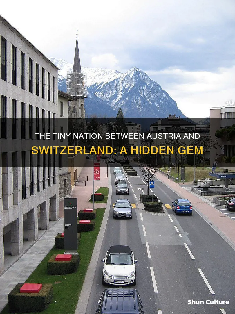 which tiny country is sandwiched between austria and switzerland