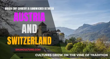 Tiny Country, Big Neighbors: Austria and Switzerland