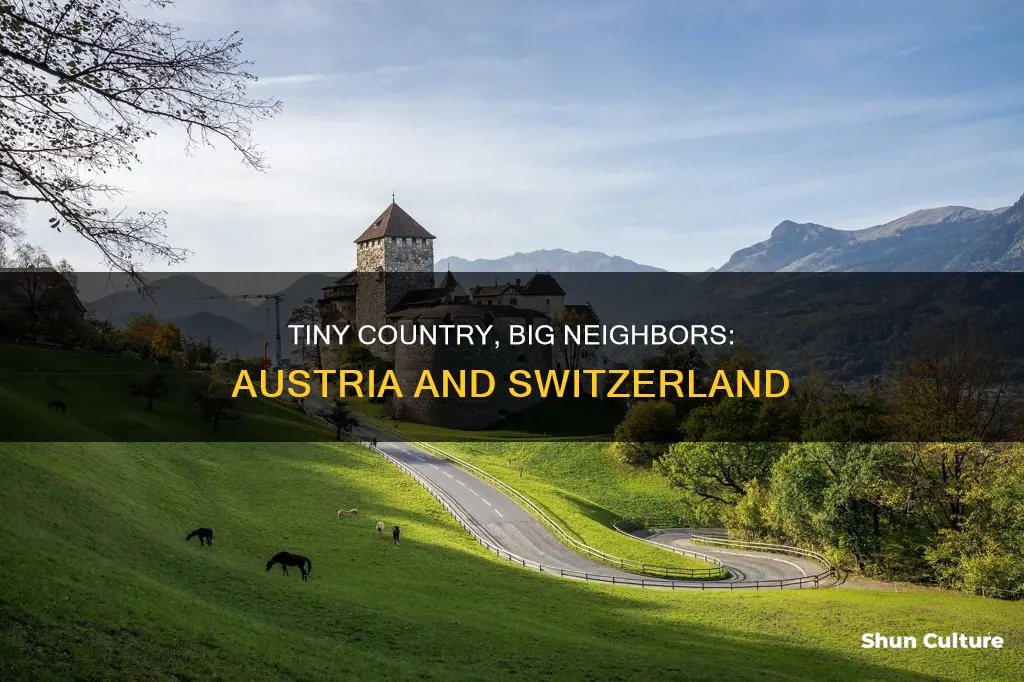 which tiny country is sandwiched between austria and switzerland