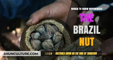 Brazil Nut TV Show References: Uncovering the Unexpected Pop Culture Connection