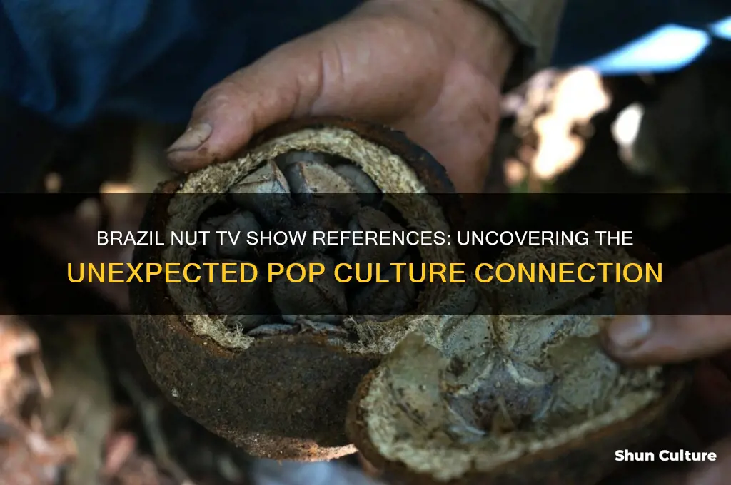 which tv show references the brazil nut