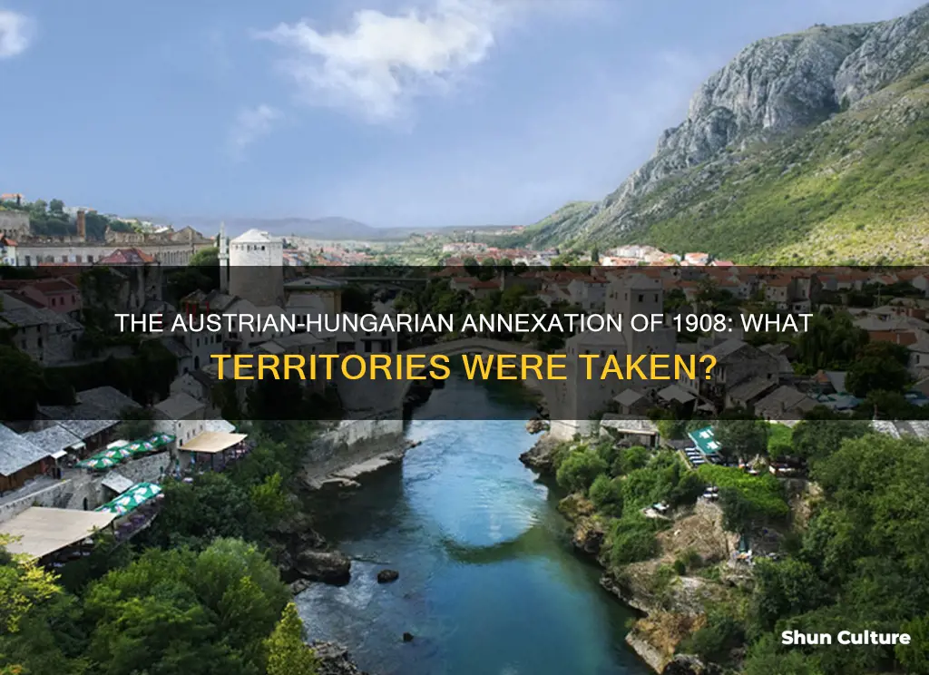 which two areas where annexed by austria-hungary in 1908