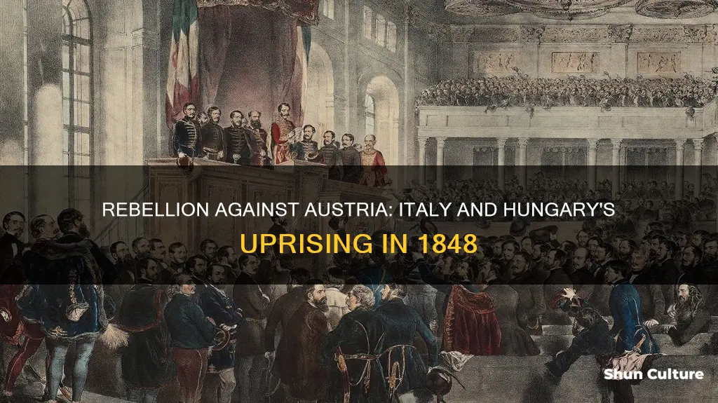 which two countries rebelled against austria in 1848
